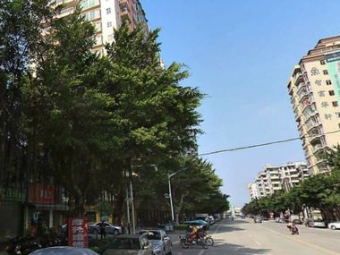 荔城增城规划局小区85万元买地铁口精装大三