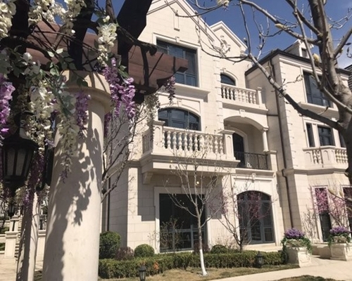 国企开发 万科物业 龙湖园林设计 法式叠拼别墅